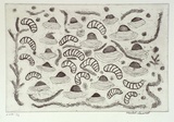 Artist: Laurel, Mabel Papayi. | Title: Two bush foods, mussels and witchetty grubs | Date: 2001, August - September | Technique: etching, printed in black ink, from one plate