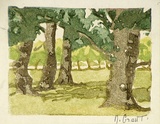 Artist: Grant, Nancy. | Title: Park land, Melbourne | Date: 1930s | Technique: linocut, printed in colour, from water-based inks