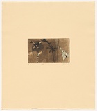 Title: Gliding | Date: 1982 | Technique: etching and aquatint, printed in brown ink, from one plate