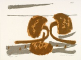Artist: ROSE, David | Title: Sunflower II | Date: 1965 | Technique: screenprint, printed in colour, from multiple stencilc