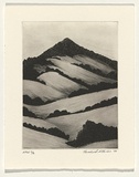 Artist: Atkins, Ros. | Title: Still | Date: 1999, November | Technique: etching and engraving, printed in black ink with plate-tone, from one plate