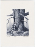 Artist: Russell,, Deborah. | Title: Forest II | Date: 2000, May | Technique: lithograph, printed in blue ink from one stone