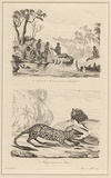 Title: Naturels de la Tasmanie pêchant des coquillages and Dasyures dévorant un phoque [Natives of Tasmania gathering shellfish and Quolls devouring a seal] | Date: 1835 | Technique: engraving, printed in black ink, from one steel plate