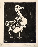 Artist: Taylor, John H. | Title: Joe the goose | Date: 1952 | Technique: linocut, printed in black ink, from one block