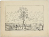 Title: Branding calves | Date: c.1853 | Technique: lithograph, printed in black ink, from one stone