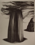 Artist: Johnstone, Ruth. | Title: Camperdown Chronicle [left] | Date: 1988 | Technique: lithograph, printed in black ink, from one stone