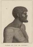 Title: Homme du Cap de Diemen | Date: 1811 | Technique: engraving, printed in black ink, from one plate