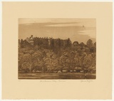 Artist: GRIFFITH, Pamela | Title: Saint Ignatius College, Riverview | Date: 1984 | Technique: hardground-etching and aquatint, printed in brown ink, from one copper plate | Copyright: © Pamela Griffith