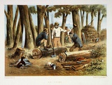 Title: Splitters | Date: 1865 | Technique: lithograph, printed in colour, from multiple stones