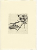 Artist: Headlam, Kristin. | Title: Very ungrateful. | Date: 1998 | Technique: etching, printed in black ink, from one plate | Copyright: © Kristin Headlam, Licensed by VISCOPY, Australia