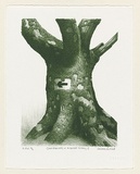 Artist: Russell,, Deborah. | Title: Great moments in Arboreal history II | Date: 1999, November | Technique: lithograph, printed in green ink, from one plate