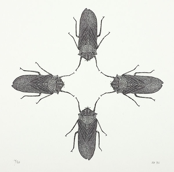 Artist: Atkins, Ros. | Title: Cicadas. | Date: 2000 | Technique: wood-engraving, printed in black ink, from one block