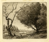 Artist: Farmer, John. | Title: Tea tree and Banksia stump. | Date: c.1960 | Technique: etching, printed in black ink with plate-tone, from one plate