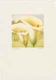 Artist: Russell,, Deborah. | Title: Lily II | Date: 1989 | Technique: lithograph, printed in colour from multiple stones
