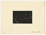 Artist: Wienholt, Anne. | Title: Not titled (Fox) | Technique: engraving, printed in relief in black ink, from one copper plate