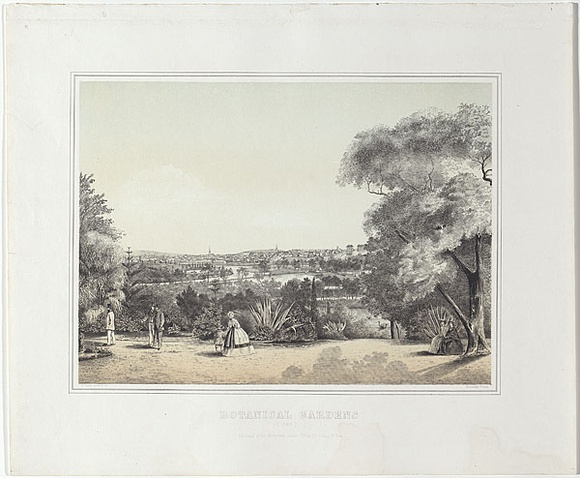 Artist: Cogne, Francois. | Title: Botanical gardens. | Date: 1863-64 | Technique: lithograph, printed in colour, from two stones