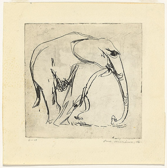 Artist: WILLIAMS, Fred | Title: Young elephant | Date: 1956 | Technique: etching, printed in black ink, from one zinc plate | Copyright: © Fred Williams Estate