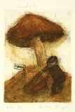 Artist: Bragge, Anita. | Title: Sandpilz | Date: 1999, October | Technique: etching, drypoint and aquatint, printed in colour, from multiple plates