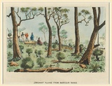 Title: Jandakot Plains from Narrogin Range | Date: 1880 | Technique: lithograph, printed in black ink, from one stone; hand-coloured at a later date