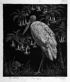 Artist: LINDSAY, Lionel | Title: Philosophy | Date: 1925 | Technique: wood-engraving, printed in black ink, from one block | Copyright: Courtesy of the National Library of Australia