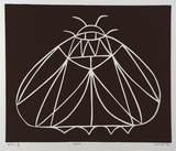 Artist: Marshall, John. | Title: Moth | Date: 1996, April | Technique: linocut, printed in black ink, from one block