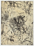 Artist: PARR, Mike | Title: Polish mud # 5 | Date: 1995 | Technique: drypoint and lift-ground aquatint, printed in colour, from 2 copper plates
