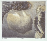 Artist: Robinson, William. | Title: Cloud | Date: 1992 | Technique: lithograph, printed in colour, from multiple stones; hand coloured