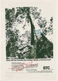 Artist: TIPPING, Richard | Title: a print from Airpoet portfolio. | Date: 1979 | Technique: screenprint, printed in colour, from two stencils