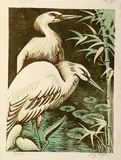 Artist: Higgs, Florence. | Title: Herons | Date: c.1954 | Technique: linocut, printed in colour, from three blocks