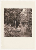 Artist: Headlam, Kristin. | Title: Verdi's garden I | Date: 1993 | Technique: etching, printed in brown ink, from one copper plate