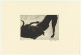 Artist: Williams, Deborah. | Title: not titled [dogs fighting] | Date: 1993 | Technique: etching, printed in black ink, from one plate