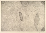 Artist: Cherel, Kumanjayi (Butcher). | Title: Manyi (bush potato) | Date: 2001 | Technique: etching, printed in black ink, from one plate