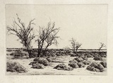 Artist: Warner, Alfred Edward. | Title: Salt Lakes, Victoria | Technique: etching, printed in black ink, from one plate
