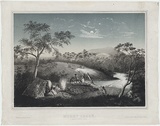 Artist: TROEDEL, Charles | Title: Merry Creek, Plenty Ranges. | Date: 1864 | Technique: lithograph, printed in colour, from two stones
