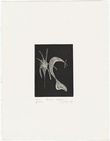 Artist: Gurvich, Rafael. | Title: Javanese rhythms 3 | Date: 1981 | Technique: etching, printed in black ink, from one plate | Copyright: © Rafael Gurvich