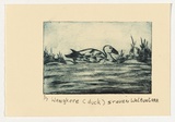 Artist: Walbungara, Steven. | Title: Wangkere (duck) | Date: 2004 | Technique: drypoint etching, printed in blue-black ink, from one perspex plate