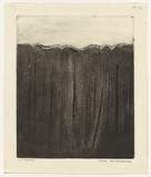 Artist: WILLIAMS, Fred | Title: Saplings, Mittagong | Date: 1958-61 | Technique: flat biting over lithographic crayon, printed in black ink, from one copper plate | Copyright: © Fred Williams Estate