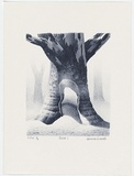 Artist: Russell,, Deborah. | Title: Forest I | Date: 2000, May | Technique: lithograph, printed in blue ink from one stone