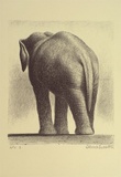 Artist: Russell,, Deborah. | Title: not titled [elephant] | Date: 1992 | Technique: lithograph, printed in black ink, from one stone