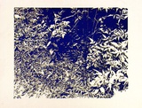 Artist: Conacher, Andrew. | Title: (Poster of plants). | Date: c.1974 | Technique: screenprint, printed in blue ink, from one stencil
