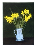 Artist: GRIFFITH, Pamela | Title: Daffodils. | Date: 1986 | Technique: hardground-etching and aquatint, printed in colour, from three copper plates | Copyright: © Pamela Griffith