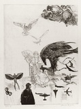 Artist: GRIFFITH, Pamela | Title: Ode to flight | Date: 1980 | Technique: etching, soft-ground, hard ground, aquatint, second hard ground, sand paper lift printed in black ink, from one zinc plate | Copyright: © Pamela Griffith