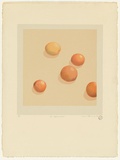 Artist: Storrier, Tim. | Title: The afternoon. | Date: 1978 | Technique: screenprint, printed in colour, from nine stencils
