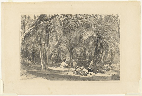 Artist: b'PROUT, John Skinner' | Title: b'Fern Tree Valley, Mount Wellington.' | Date: 1844 | Technique: b'lithograph, printed in colour, from two stones'