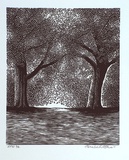 Artist: b'Atkins, Ros.' | Title: b'not titled [two trees side by side]' | Date: 2001, February | Technique: b'linocut, printed in black ink, from one block'