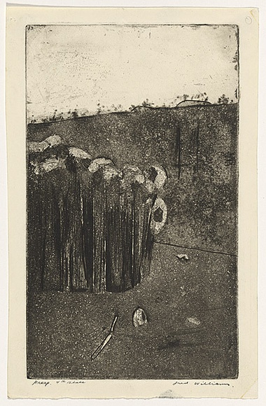 Artist: b'WILLIAMS, Fred' | Title: b'Saplings' | Date: 1962 | Technique: b'aquatint, drypoint and engraving, printed in black ink, from one copper plate' | Copyright: b'\xc2\xa9 Fred Williams Estate'