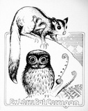 Artist: b'Twigden, Blake.' | Title: b'Bookplate: Pat Corrigan (Possum and owl)' | Date: 1976 | Technique: b'offset-lithograph, printed in black ink'