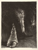 Artist: b'Weiss, Rosie.' | Title: b'(Untitled)' | Date: 1985 | Technique: b'lithograph, printed in black ink, from one stone'