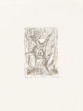 Artist: b'MEYER, Bill' | Title: b'Forest survivor' | Date: 1992 | Technique: b'etching, printed in brown-black charbonnel ink, from one plate' | Copyright: b'\xc2\xa9 Bill Meyer'