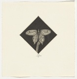 Artist: Moore, Catherine. | Title: not titled [butterfly] | Date: 1979 | Technique: etching and aquatint, printed in black ink, from one plate